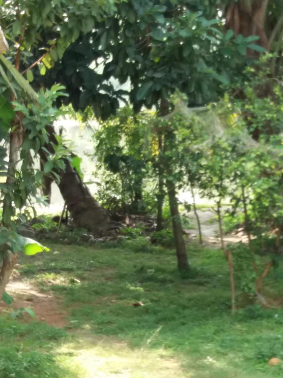 Ishitha Homestay Tangalle Exterior photo